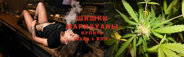 амф Арсеньев