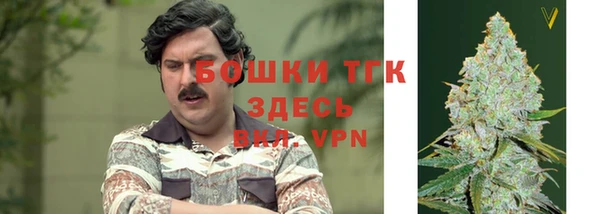 амф Арсеньев