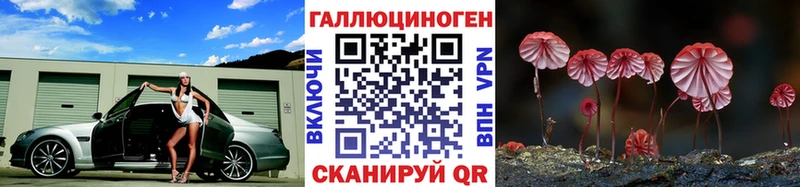 omg ссылки  Новоалександровск  Галлюциногенные грибы мицелий 