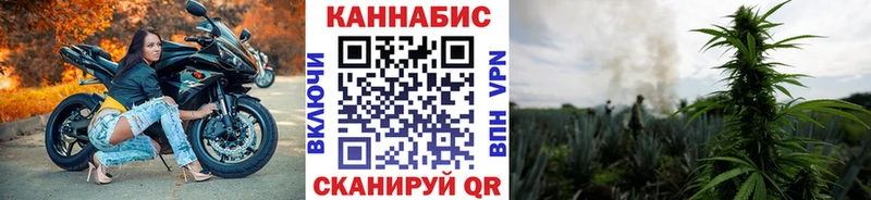 Бошки Шишки THC 21%  купить наркоту  нарко площадка Telegram  Новоалександровск 